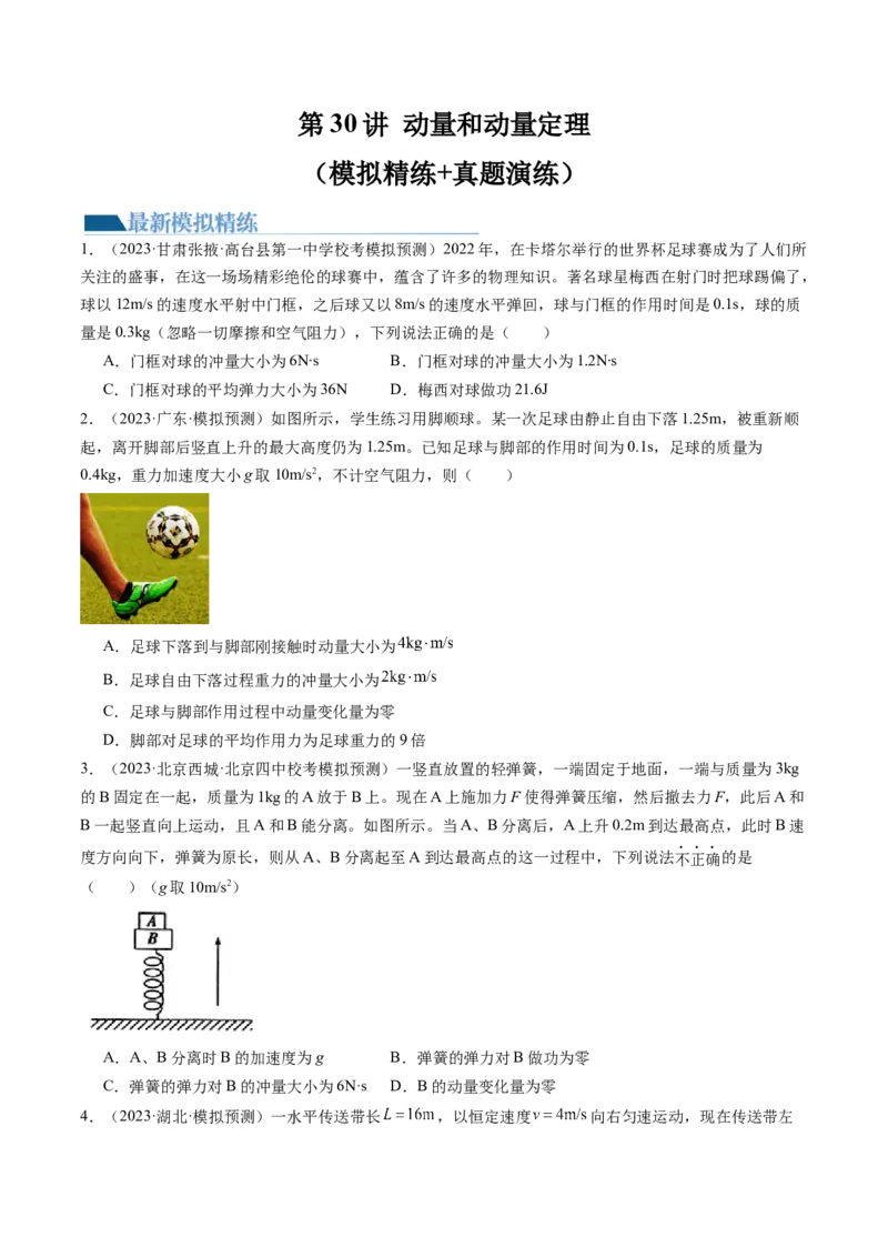 第30讲动量和动量定理（练习）（原卷版）_04高考物理_新高考复习资料_2024新高考复习资料_一轮复习资料_2024年高考物理一轮复习讲练测（讲义+练习+课件）（新高考）_讲义+练习
