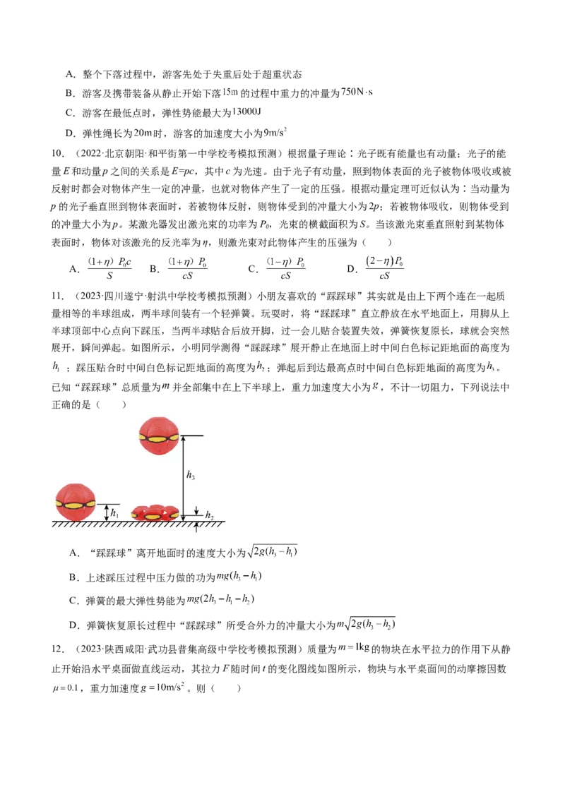 第30讲动量和动量定理（练习）（原卷版）_04高考物理_新高考复习资料_2024新高考复习资料_一轮复习资料_2024年高考物理一轮复习讲练测（讲义+练习+课件）（新高考）_讲义+练习