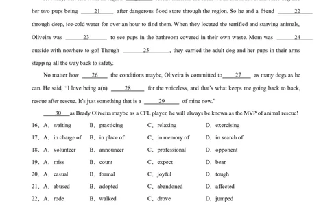 考点巩固卷19完形填空之夹叙夹议文（原卷版）_03高考英语_新高考复习资料_2024年新高考资料_一轮复习资料_完2024年高考英语一轮复习考点通关卷（新高考）