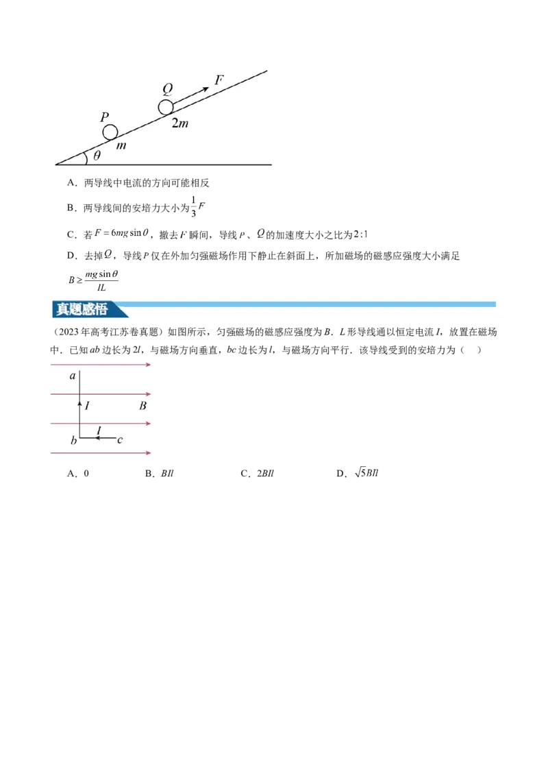 第49讲磁场及其对电流的作用（讲义）（原卷版）_04高考物理_新高考复习资料_2024新高考复习资料_一轮复习资料_2024年高考物理一轮复习讲练测（讲义+练习+课件）（新高考）_讲义+练习