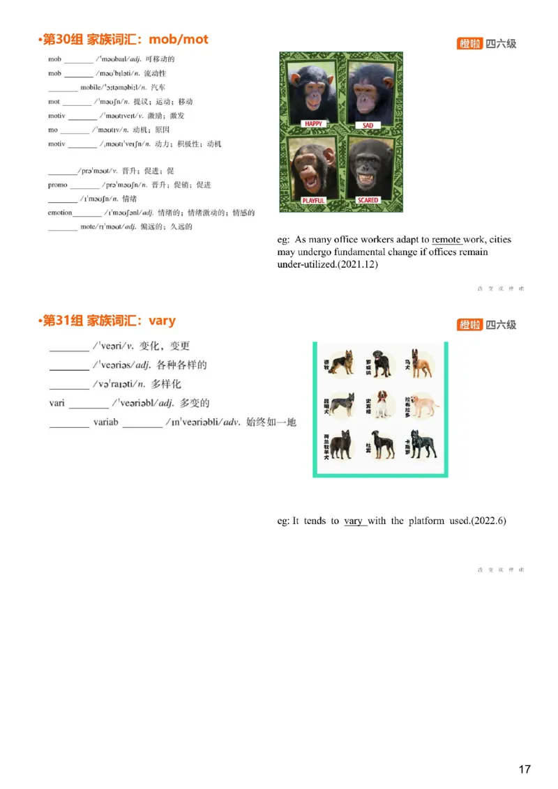 [4.17]--四级词汇17_最新更新，视频都在这_2026、6月四级速转存易和谐_1、2025年6月四级_10.2026四级英语橙啦_{1}--课程_{4}--四级词汇