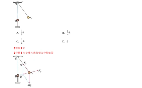 第37讲静电力的性质（练习）（解析版）_04高考物理_新高考复习资料_2024新高考复习资料_一轮复习资料_2024年高考物理一轮复习讲练测（讲义+练习+课件）（新高考）_讲义+练习
