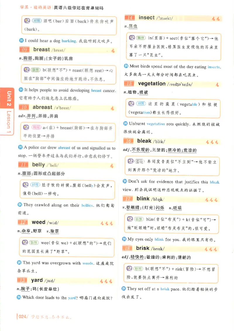 英语六级你还在背单词电子单词课本_最新更新，视频都在这_2026，6月六级速转存易和谐_0、2025年12月六级_00.学丞六级全程班刘晓燕_00讲义资料