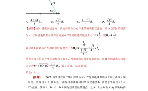 第21讲　磁场的描述磁场对电流的作用（解析版）_04高考物理_通用版（老高考）复习资料_2024年复习资料_完2024年高考物理一轮考点复习精讲精练（全国通用）