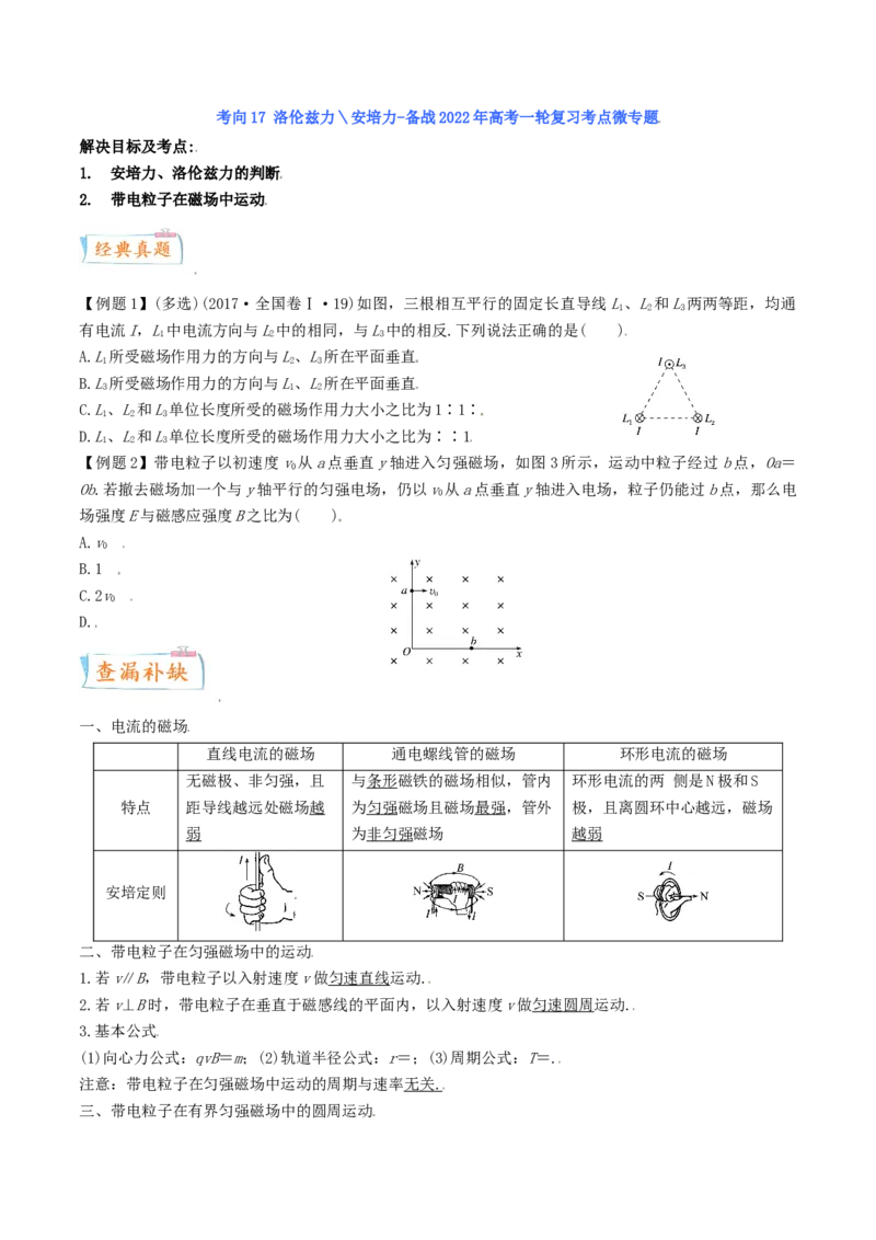 考向18洛伦兹力＼安培力-备战2022年高考物理一轮复习考点微专题_04高考物理_新高考复习资料_2022年新高考复习资料_备战2022年高考物理一轮复习考点微专题