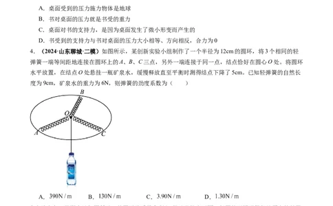 第05讲三大性质力（练习）（原卷版）_04高考物理_新高考复习资料_2025年新高考资料_2025年高考物理一轮复习讲练测（新教材新高考）
