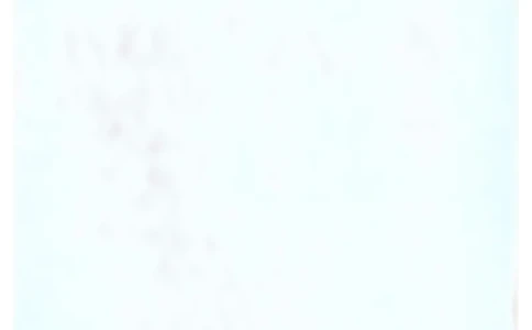 2025年12月六级三套真题带答案解析_最新更新，视频都在这_2026，6月六级速转存易和谐_讲义_就这样过英语六级真题+模拟