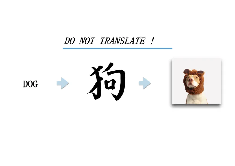 02.听力精讲2_英语四六级保存避免失效_最新更新，视频都在这_2026，6月六级速转存易和谐_0、2025年12月六级_06.橙啦六级全程班石雷鹏_03.真题技巧+专项带练_01.听力精讲_资料
