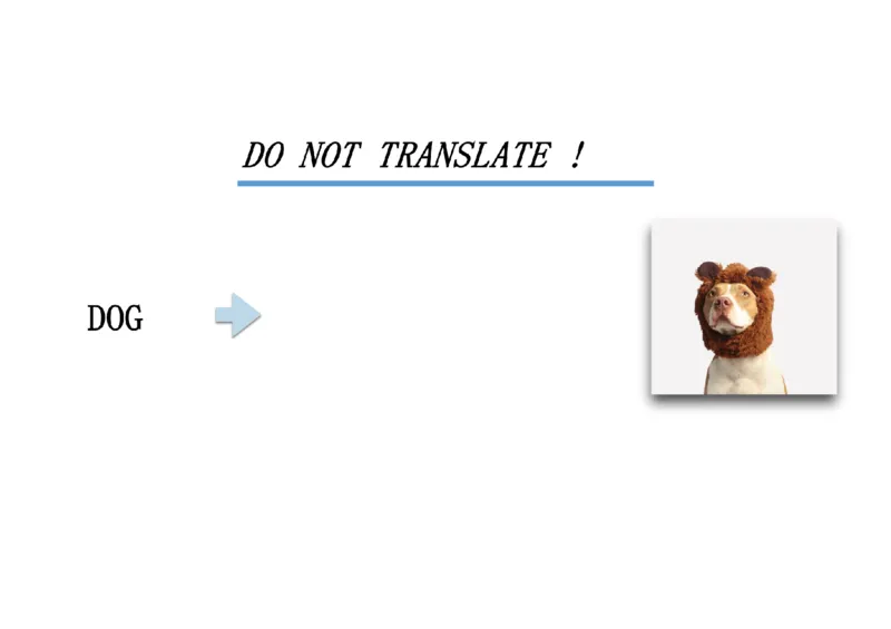 02.听力精讲2_英语四六级保存避免失效_最新更新，视频都在这_2026，6月六级速转存易和谐_0、2025年12月六级_06.橙啦六级全程班石雷鹏_03.真题技巧+专项带练_01.听力精讲_资料