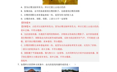 2.4光的反射（专题训练）十一大题型（解析版）_8上-初中物理苏科版(4)_03讲义