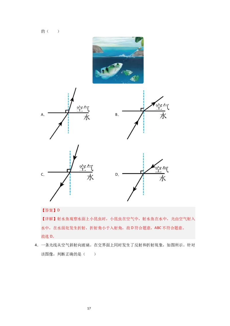 3.1光的折射（知识解读）（解析版）_8上-初中物理苏科版(4)_03讲义