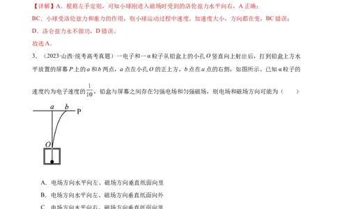 阶段性检测《磁场》（解析版）_04高考物理_新高考复习资料_2024新高考复习资料_一轮复习资料_完2024年高考物理一轮复习考点通关卷（新高考通用）_阶段性检测_电磁部分