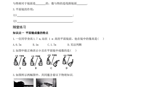 2.3平面镜（有答案）-八年级物理上册课堂同步专题训练（苏科版2024）_8上-初中物理苏科版(4)_04同步练习（齐全）