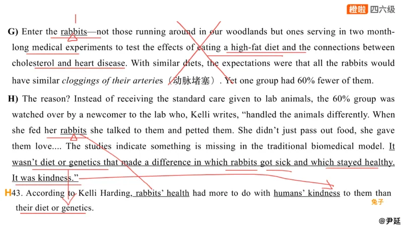 13.匹配题精讲精练1_英语四六级保存避免失效_最新更新，视频都在这_2026、6月四级速转存易和谐_0、2025年12月四级_06.橙啦四级全程班石雷鹏_03.解题技巧+专项带练_03.阅读精讲精练