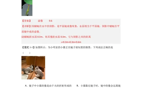 2.3平面镜（知识解读）（解析版）_8上-初中物理苏科版(4)_03讲义
