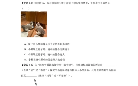 2.3平面镜（知识解读）（原卷版）_8上-初中物理苏科版(4)_03讲义