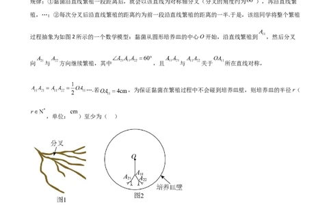 高考仿真重难点训练08数列（解析版）_2025年新高考资料_一轮复习_2025年高考数学一轮复习《重难点题型与知识梳理&bull;高分突破》（新高考专用）