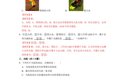 2.2光的直线传播（专题训练）十四大题型（解析版）_8上-初中物理苏科版(4)_03讲义