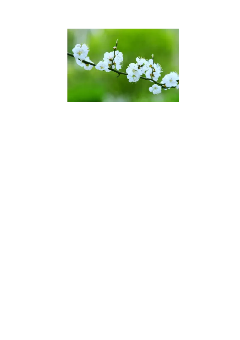 解密13原子与原子核（解析版）-高频考点解密2021年高考物理二轮复习讲义+分层训练_04高考物理_新高考复习资料_2021年新高考资料