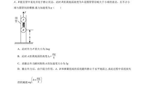 阶段性检测《牛顿运动定律》（解析版）_04高考物理_新高考复习资料_2024新高考复习资料_一轮复习资料_完2024年高考物理一轮复习考点通关卷（新高考通用）_阶段性检测_力学部分