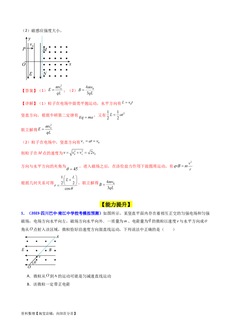考点48带电粒子在复合场中的运动（核心考点精讲+分层精练）解析版_04高考物理_新高考复习资料_2024新高考复习资料_一轮复习资料