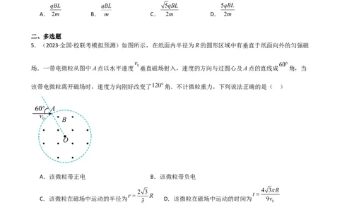 考点巩固卷67带电粒子在磁场中的运动（原卷版）_04高考物理_新高考复习资料_2024新高考复习资料_一轮复习资料_完2024年高考物理一轮复习考点通关卷（新高考通用）_考点巩固卷