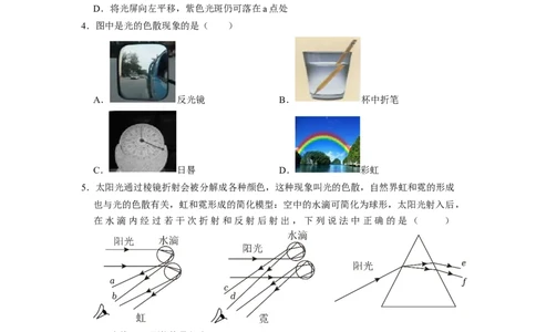 2.1光的色彩（专题训练）七大题型（原卷版）_8上-初中物理苏科版(4)_03讲义