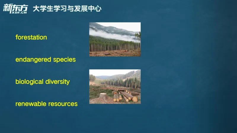 25_六级_词汇导学_陈志超_1758004854713_英语四六级保存避免失效_最新更新，视频都在这_2026，6月六级速转存易和谐_0、2025年12月六级_07.东方六级全程班陈志超_00.讲义_六级词汇导学