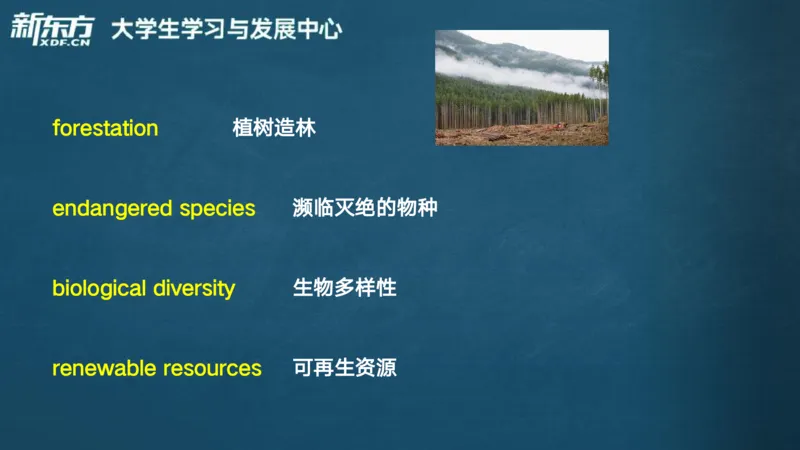 25_六级_词汇导学_陈志超_1758004854713_英语四六级保存避免失效_最新更新，视频都在这_2026，6月六级速转存易和谐_0、2025年12月六级_07.东方六级全程班陈志超_00.讲义_六级词汇导学