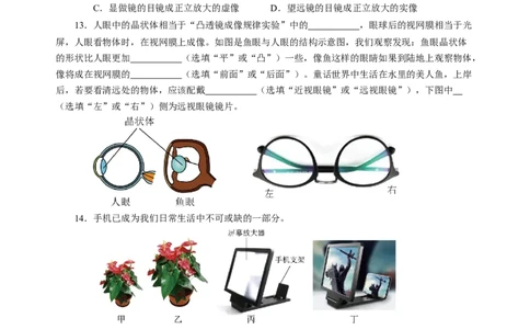 3.4透镜的应用（分层作业）（原卷版）_8上-初中物理苏科版(4)_01课件+练习（齐全）_练习_3.4透镜的应用（分层作业）-上好课八年级物理上册同步高效课堂（苏科版2024）