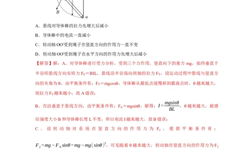 选择6磁场高频问题（解析版）_04高考物理_2025年新高考资料_二轮复习_模型与方法2025届高考物理二轮复习热点题型归类340322924