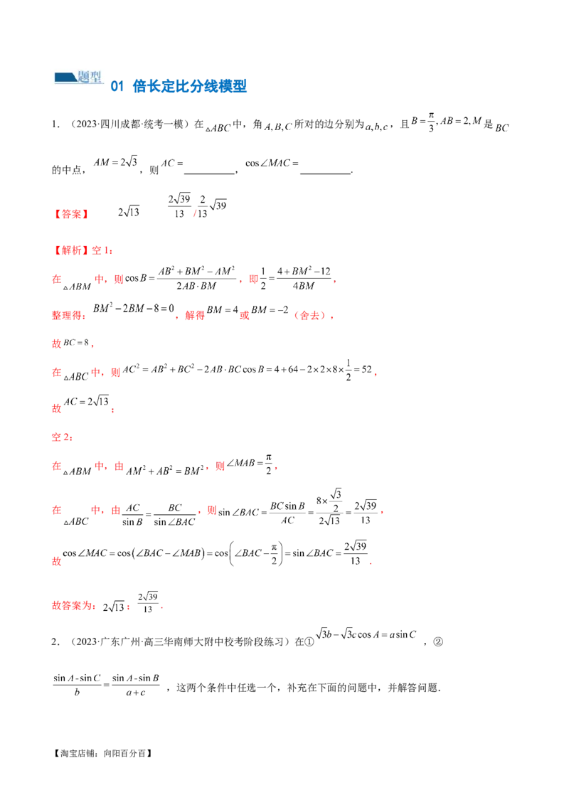 专题12正余弦定理妙解三角形问题和最值问题（练习）（解析版）_新高考复习资料_2024年新高考资料_二轮复习资料_2024年高考数学二轮复习讲练测（新教材新高考）_教师版（含答案解析）