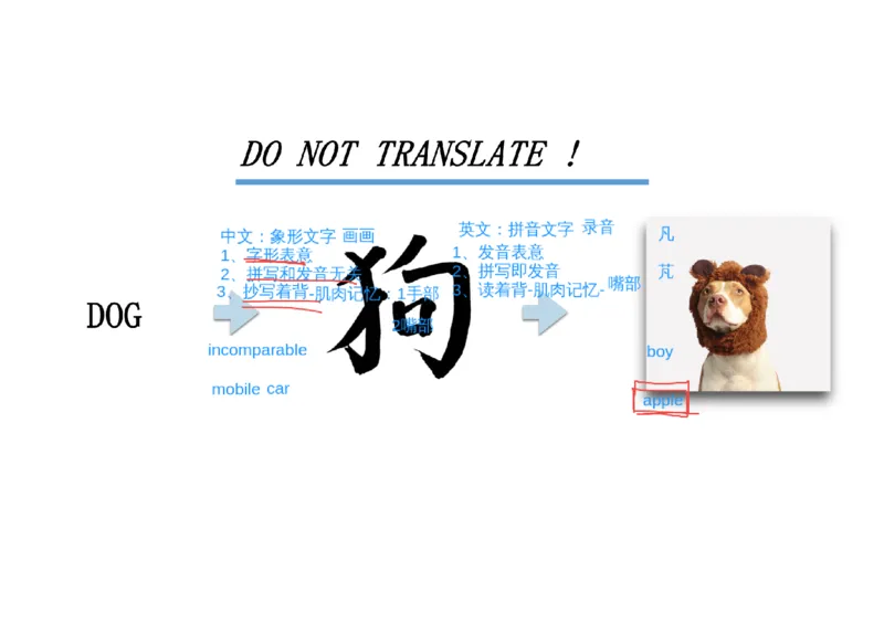 01.听力精讲1_英语四六级保存避免失效_最新更新，视频都在这_2026，6月六级速转存易和谐_0、2025年12月六级_06.橙啦六级全程班石雷鹏_03.真题技巧+专项带练_01.听力精讲_资料