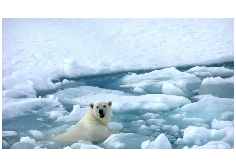 01.听力精讲1_英语四六级保存避免失效_最新更新，视频都在这_2026，6月六级速转存易和谐_0、2025年12月六级_06.橙啦六级全程班石雷鹏_03.真题技巧+专项带练_01.听力精讲_资料