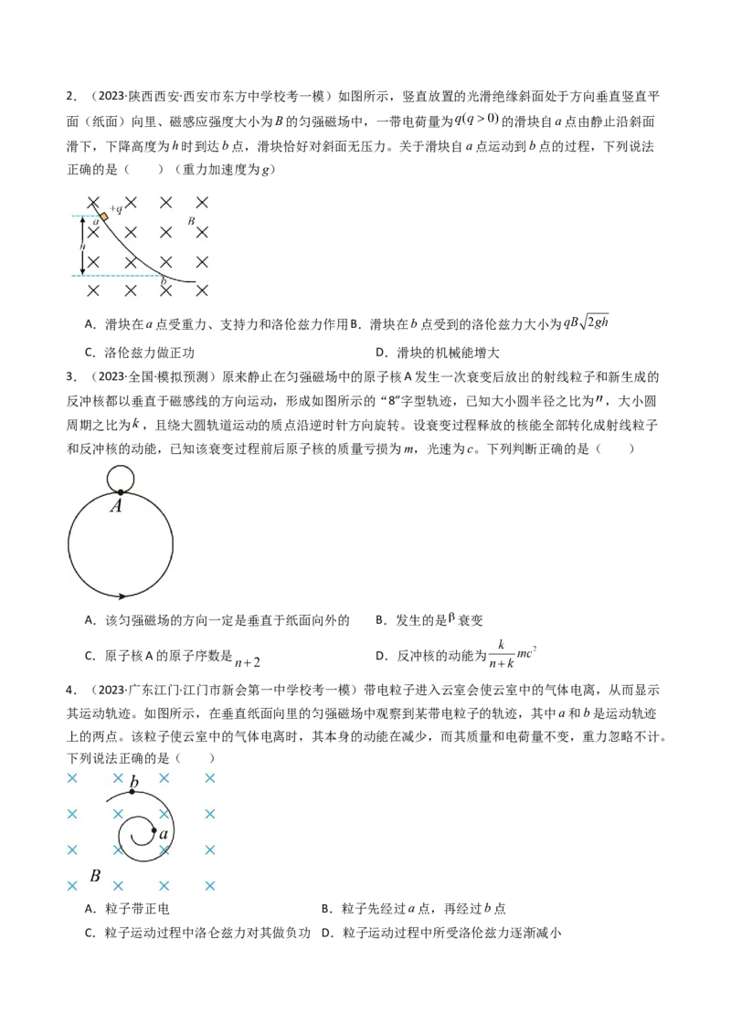 考点46磁场对运动电荷的作用（核心考点精讲+分层精练）原卷版_04高考物理_新高考复习资料_2024新高考复习资料_一轮复习资料_完备战2024年高考物理一轮复习考点帮（新高考专用）