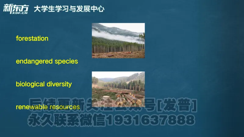 25_六级_词汇导学_陈志超_1736319712918_英语四六级保存避免失效_最新更新，视频都在这_2026，6月六级速转存易和谐_1、2025年6月六级_04.2026六级英语新东方_电子资料_六级核心技巧讲解