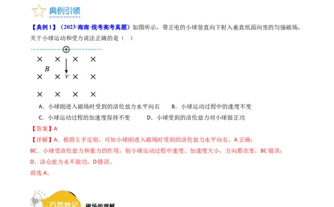 考点46磁场对运动电荷的作用（核心考点精讲+分层精练）解析版_04高考物理_新高考复习资料_2024新高考复习资料_一轮复习资料_完备战2024年高考物理一轮复习考点帮（新高考专用）