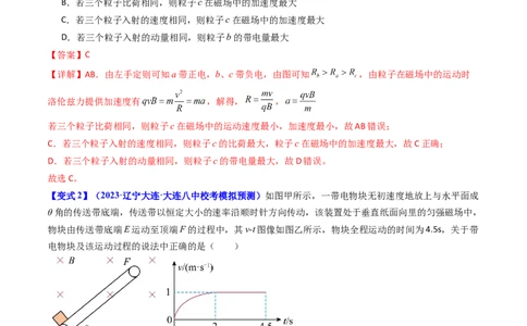 考点46磁场对运动电荷的作用（核心考点精讲+分层精练）解析版_04高考物理_新高考复习资料_2024新高考复习资料_一轮复习资料_完备战2024年高考物理一轮复习考点帮（新高考专用）