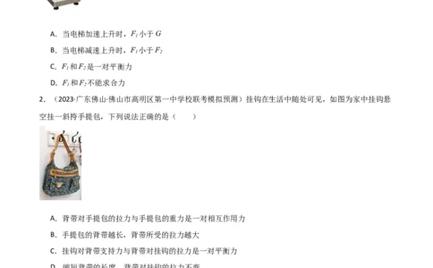 考点巩固卷10牛顿第三定律额理解和应用（原卷版）_04高考物理_新高考复习资料_2024新高考复习资料_一轮复习资料_完2024年高考物理一轮复习考点通关卷（新高考通用）_考点巩固卷
