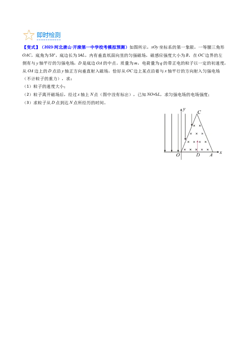 考点48带电粒子在复合场中的运动（核心考点精讲+分层精练）原卷版_04高考物理_新高考复习资料_2024新高考复习资料_一轮复习资料
