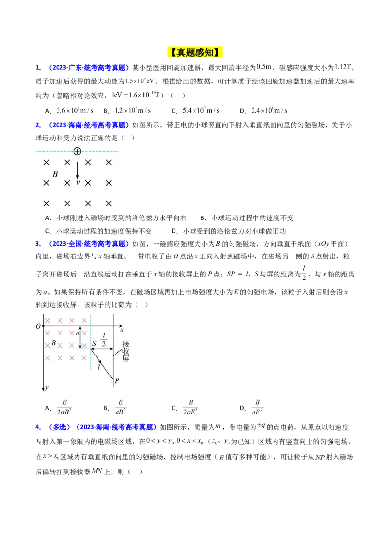 考点48带电粒子在复合场中的运动（核心考点精讲+分层精练）原卷版_04高考物理_新高考复习资料_2024新高考复习资料_一轮复习资料