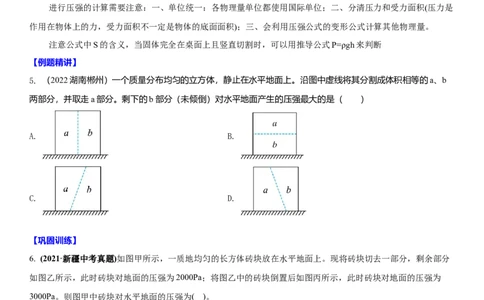 10.6专题压强与浮力（原卷版）_8下-初中物理苏科版(4)_赠送：旧版资料（和新版好多一样，仍具有很大参考价值）_02讲义
