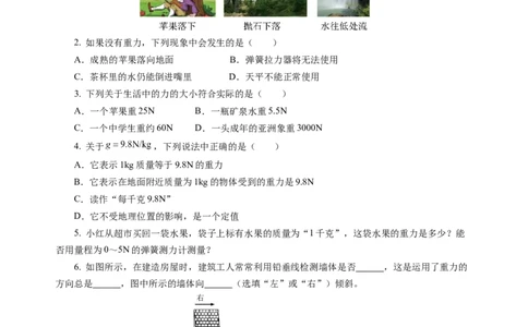 7.2重力力的示意图（分层作业）（原卷版）(1)_8下-初中物理苏科版(4)_01课件+练习_7.2重力力的示意图（分层作业）-上好课八年级物理下册同步高效课堂（苏科版2024）