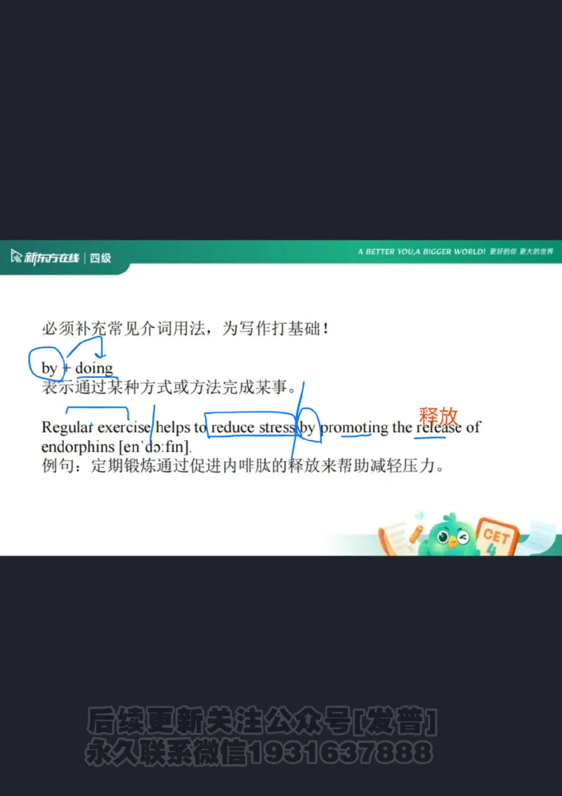 四级语法1课件批注版_1736753889732_英语四六级保存避免失效_最新更新，视频都在这_2026、6月四级速转存易和谐_1、2025年6月四级_04.2026四级英语新东方_电子资料_四级核心技巧讲解