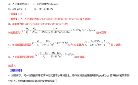 10.6专题压强与浮力（解析版）_8下-初中物理苏科版(4)_赠送：旧版资料（和新版好多一样，仍具有很大参考价值）_02讲义