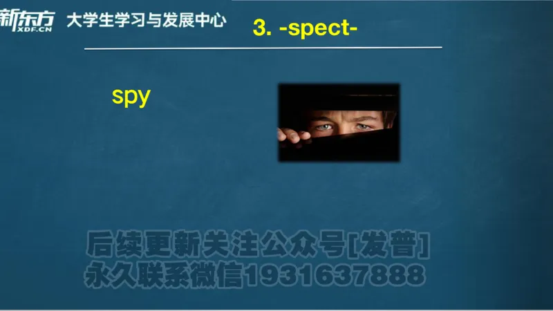 四级词汇导学_陈志超_1736154830339_英语四六级保存避免失效_最新更新，视频都在这_2026、6月四级速转存易和谐_1、2025年6月四级_04.2026四级英语新东方_电子资料_四级核心技巧讲解