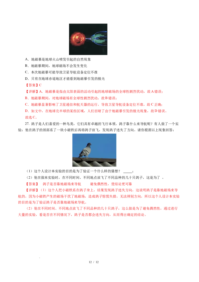 一、磁体与磁场（培优考点练）（解析版）_9下-初中物理苏科版(4)_9下-初中物理苏科版（2026春季新版）持续更新_02习题试卷_培优练习