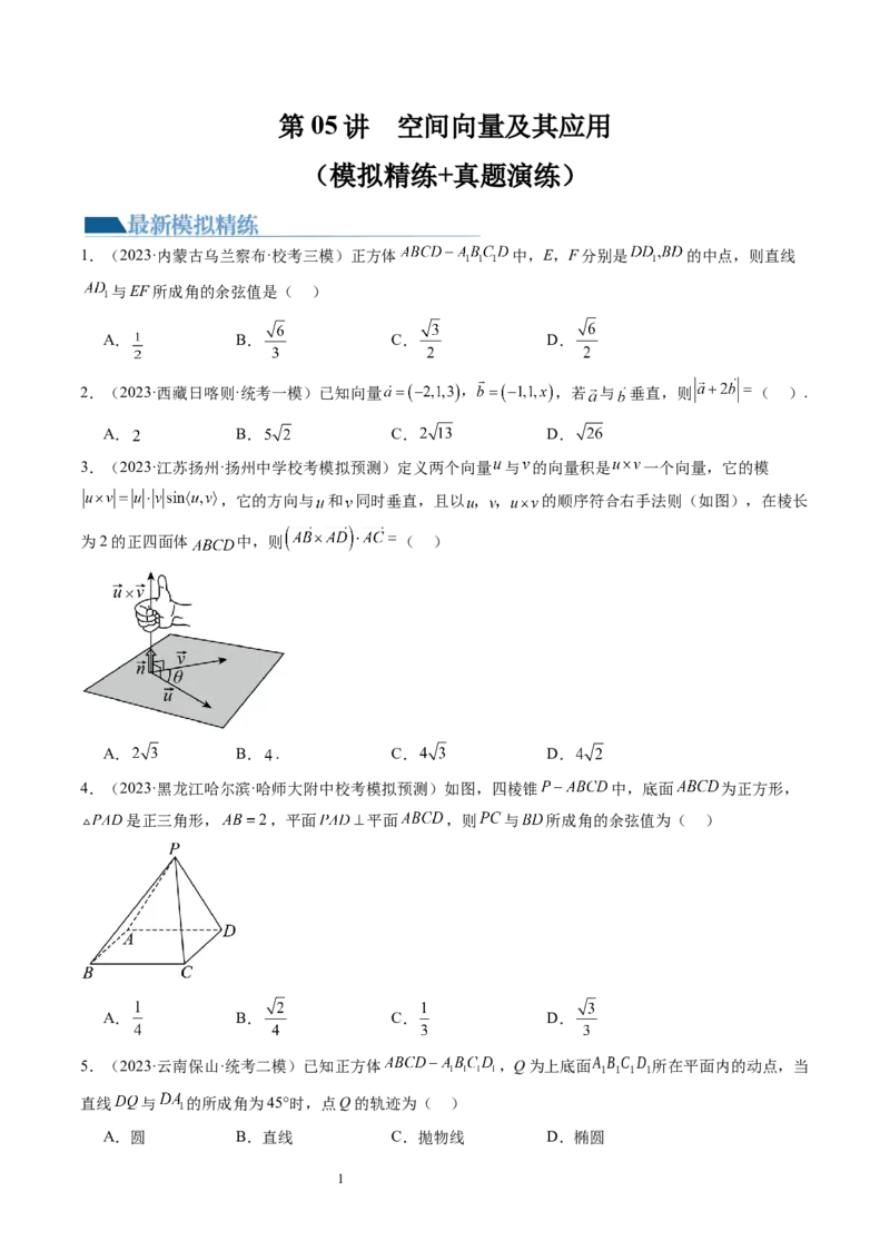 第05讲空间向量及其应用（练习）（学生版）_新高考复习资料_2024年新高考资料_一轮复习资料_完2024年高考数学一轮复习讲练测(课件+讲义+练习)（新高考）_第七章立体几何与空间向量