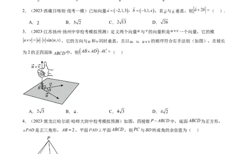 第05讲空间向量及其应用（练习）（学生版）_新高考复习资料_2024年新高考资料_一轮复习资料_完2024年高考数学一轮复习讲练测(课件+讲义+练习)（新高考）_第七章立体几何与空间向量