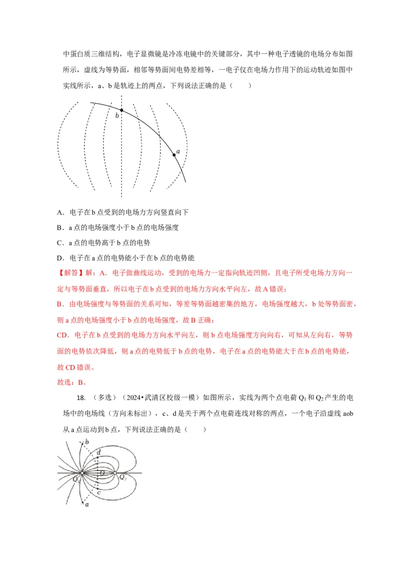 选择5静电场高频问题（解析版）_2025年新高考资料_二轮复习_模型与方法2025届高考物理二轮复习热点题型归类340322924